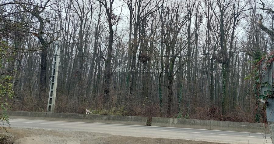 Teren de vânzare – 1000 mp în Mogoșoaia, excelentă investiție - 6