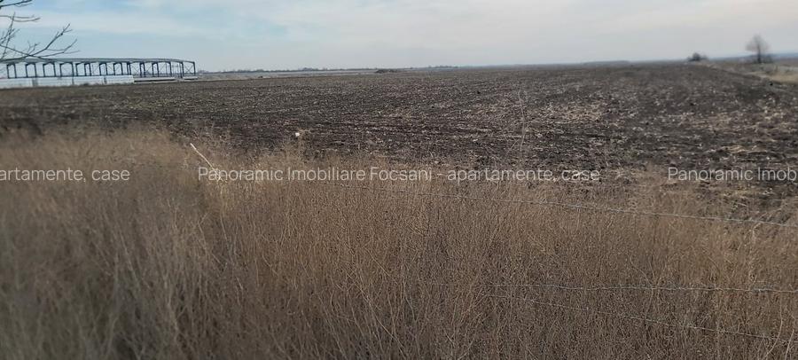 Terenuri intravilane de vanzare Focsani ,4,5 Ha Focsani - 16