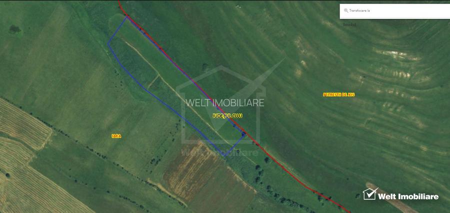 21.500 mp de teren cu privelisti superbe in Valea Agrisului (comuna Iara) - 6