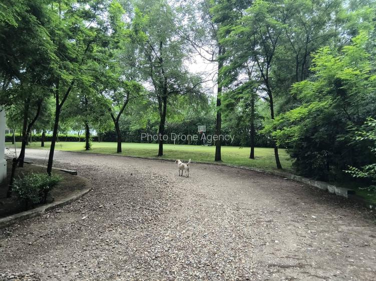 Teren de vanzare Strada Pădurii – „Un loc pe care nu îl alegi, ci te alege.” - 3