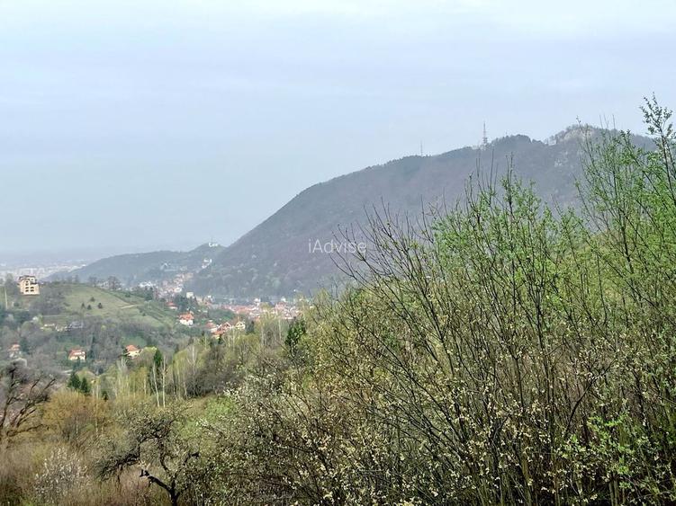 Apartament 2 Camere Vanzare, Seasons Residence - 11