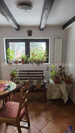 Vila Busteni vedere exceptionala! - 13