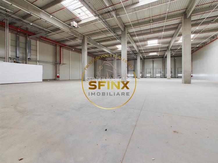 Spatiu depozitare clasa A, zona vest, Dragomiresti, A1. - 6