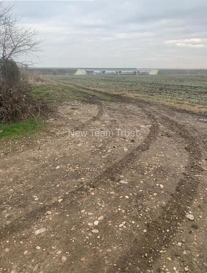Vanzare Teren Intravilan Tunari - Dimieni Autostrada A0 - Tamasi - Snagov - 5