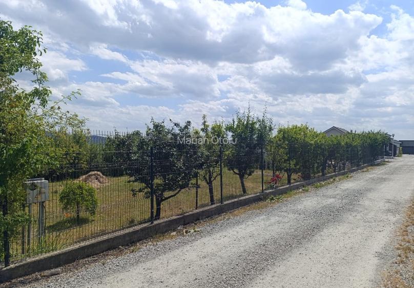 Proprietar: Teren de vânzare cu Panorama si utilități complete - 5