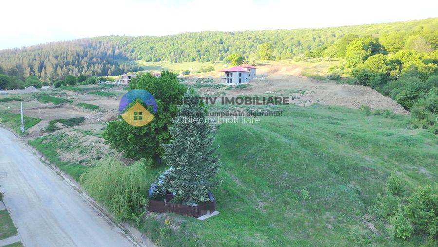 TEREN intravilan PIATRA NEAMT strada DRAGOS VODA (Valea Viei) - 7