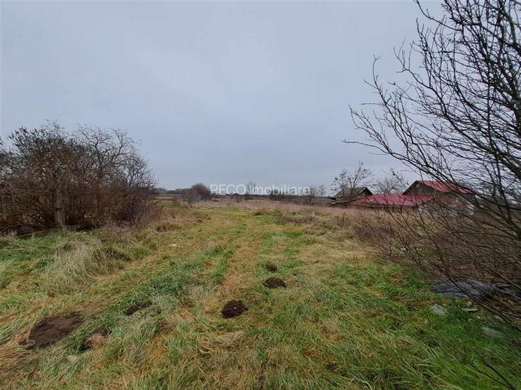 RECO Moara veche Ciumeghiu - 5