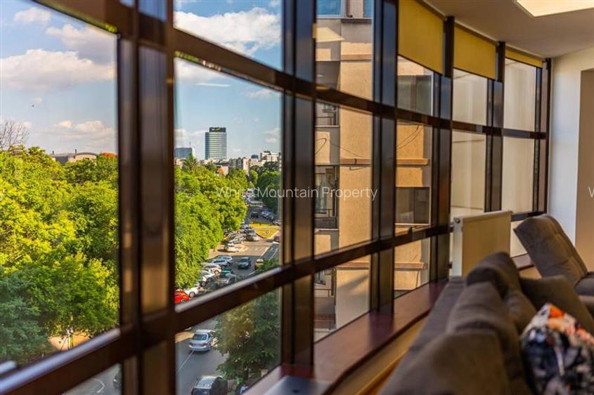 Apartament 2 camere, inchiriere lunga durata, Herastrau - 23