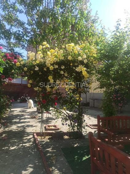 Vila deosebita, teren 800 mp, piscina, zona Dristor – Mall Park Lake - 18