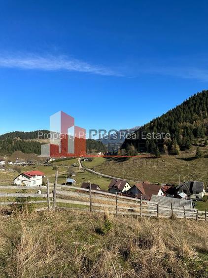 Teren Fundatica intravilan 4500 mp - 17