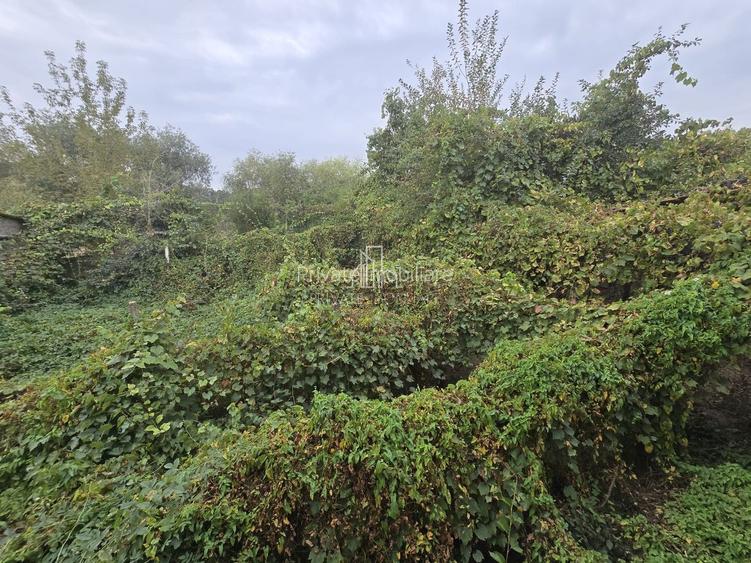 Imobil format din 2 cladiri, zona Stefan cel Mare, Sighisoara - 19