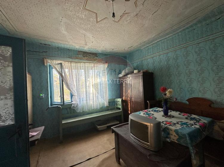 GOSPODARIE - liniste - natura - DE VANZARE - 5