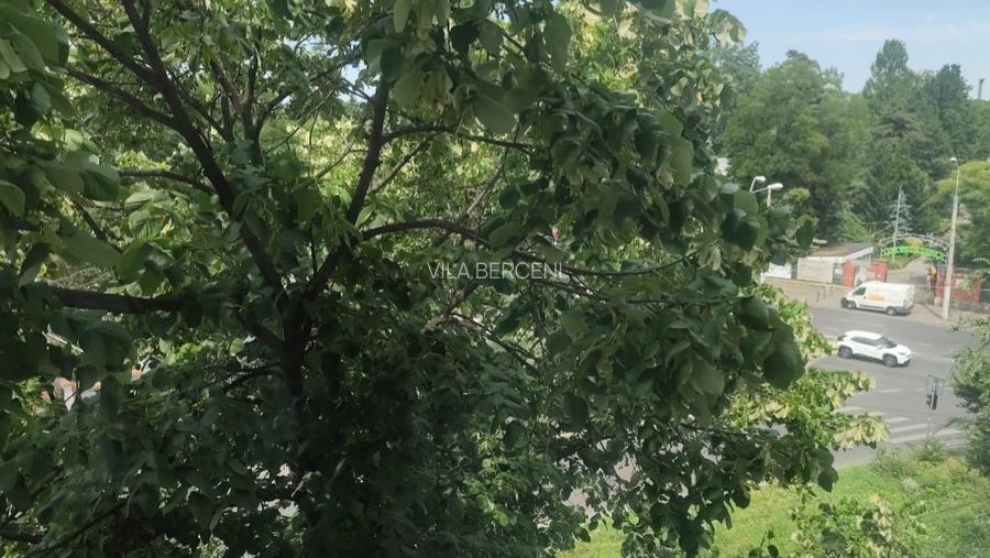 APARTAMENT 2 CAMERE - 6