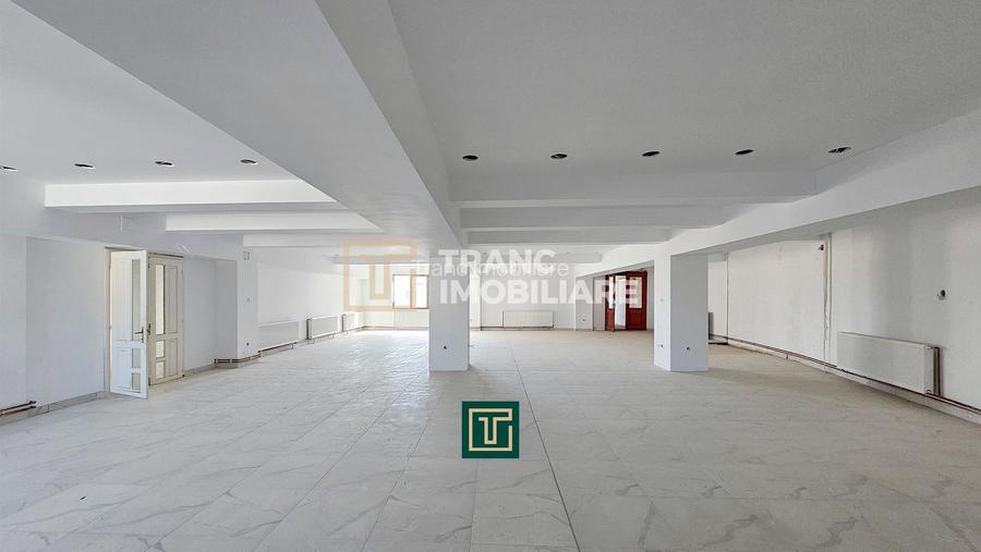 Proprietate multifunctionala - teren generos, cladire si hala in Lugoj - 17
