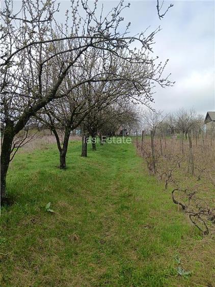 Aroneanu - Dorobant TEREN 46000mp PUZ realizat 59 de case la str principala cu t - 9