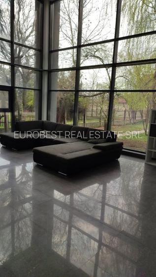 Otopeni, I. G. duca, inchiriere vila P+1, 280 mp totali, mobilata si utilata, - 3