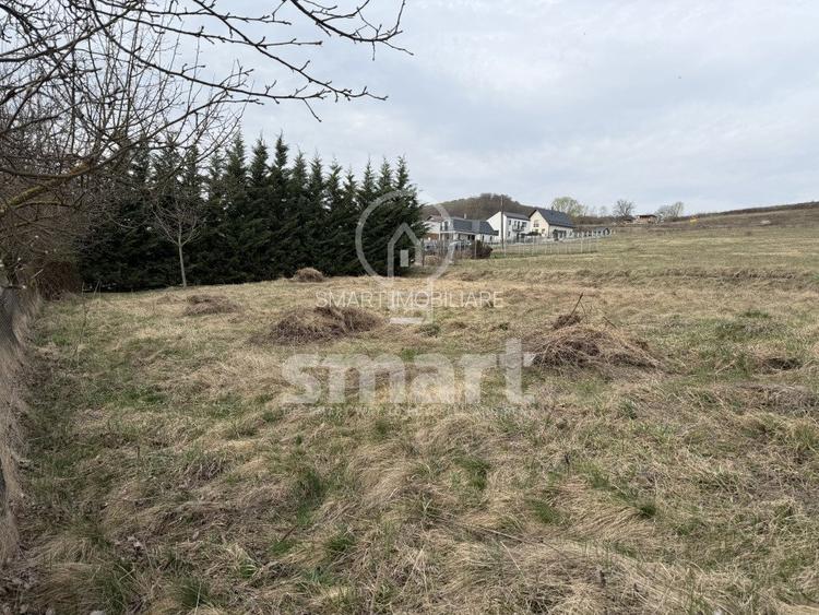 Teren de vanzare cu autorizatie de constructie   Borhanci  Cluj-Napoca - 14