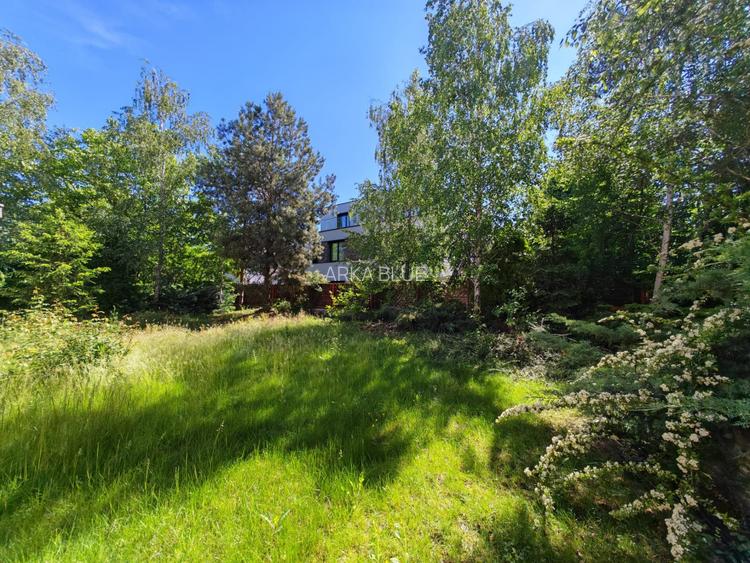 Vila in Pipera, 1500 mp teren - cel mai bun pret al zonei, vila la pret de teren - 5