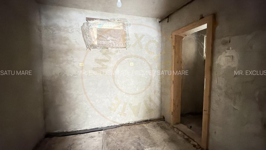 Proprietate cu 2 case | Teren 546 mp | Str. Albinelor Nr.18 - Carei - 20