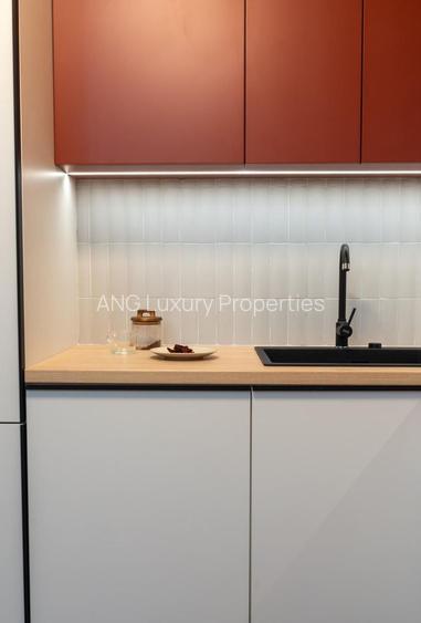 INCHIRIERE 2 CAMERE Herastrau - 10