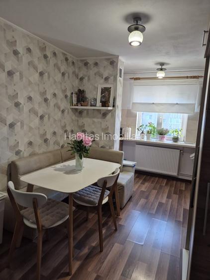 Apartament 4 camere, finisat, mobilat, parcare, zona str Izlazului - 13