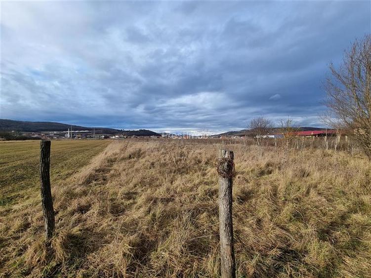 Teren de vanzare intravilan,29 arii, Santana - 3