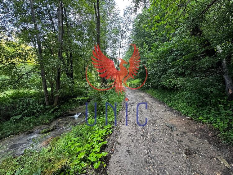 18000 mp de natura pura ,Lupeni, langa Straja - 32