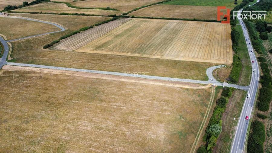 COMISION 0% Teren industrial cu utilitati, acces TIR - Mosnita - 7