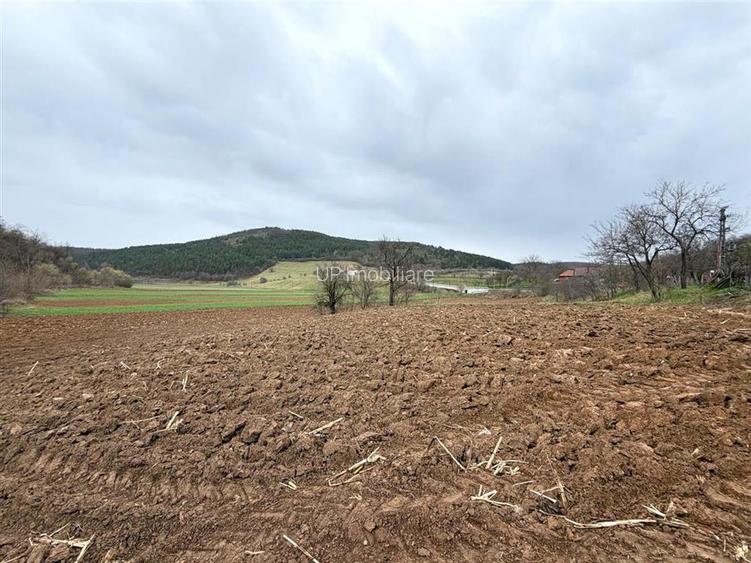 CASA CU TEREN 2846 MP | COMUNA ASTILEU | SAT CALATEA - 23