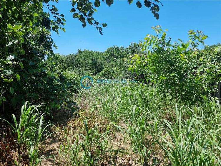 Royal Imobiliare - Vanzare Vila zona Blejoi - 3