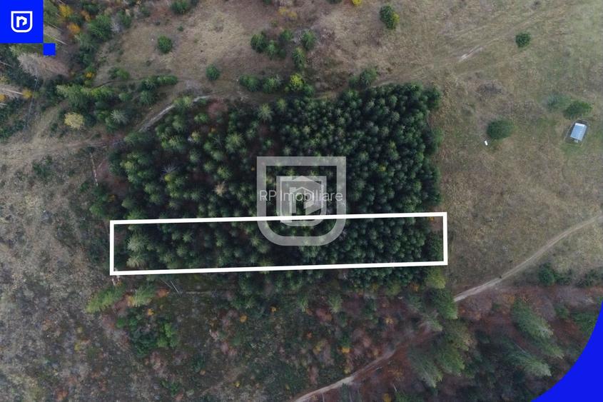 Teren situat in Frasin | BUCOVINA - 3