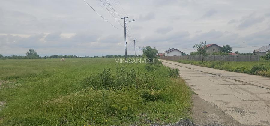 Teren intravilan Colacu, Dâmbovița –  | Utilități | Drum asfaltat Comision 0 - 5