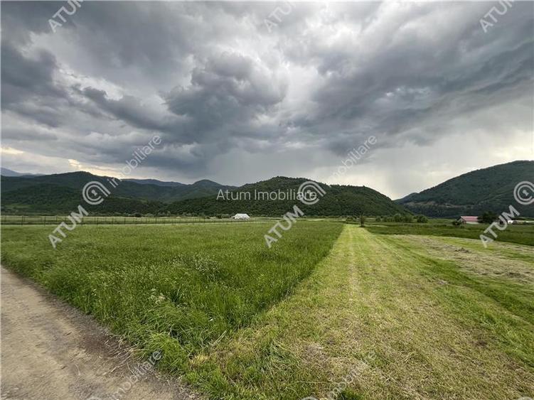 Teren intravilan de 3477 mp cu deschidere de 35 m in Boita - 7