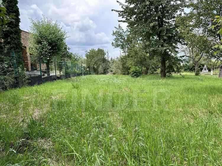 Teren 1000 mp cu Autorizație Construcție  - Făget, zona superba - 2