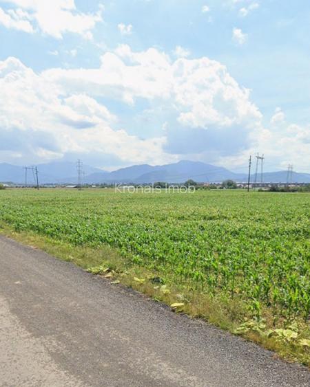 Loturi de casa 535mp cu utilitati, zona Primaverii, Sanpetru - 2