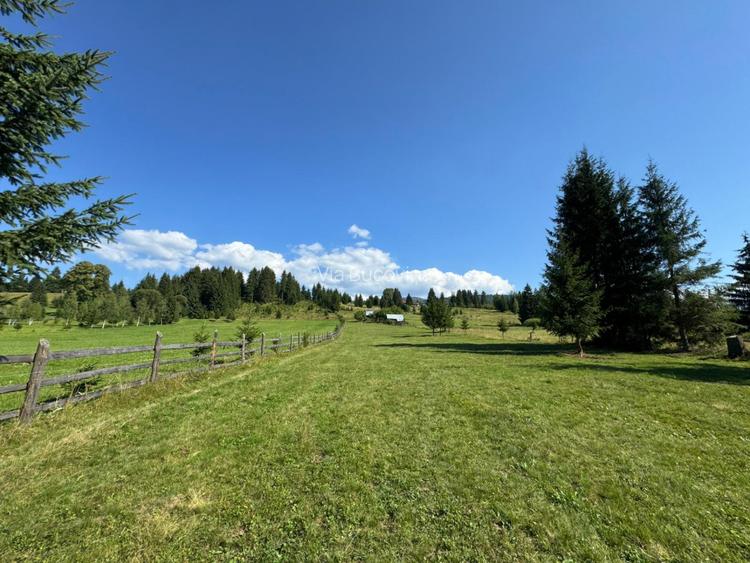 Vanzare 16700 - 9 loturi - Plaiul Sarului la sosea- microdezvoltare langa oras - 11