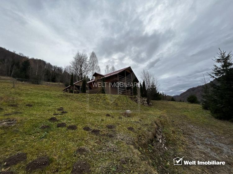 Oportunitate unica! 5ha + 2 cabane de vacanta in Valea Ierii - 7