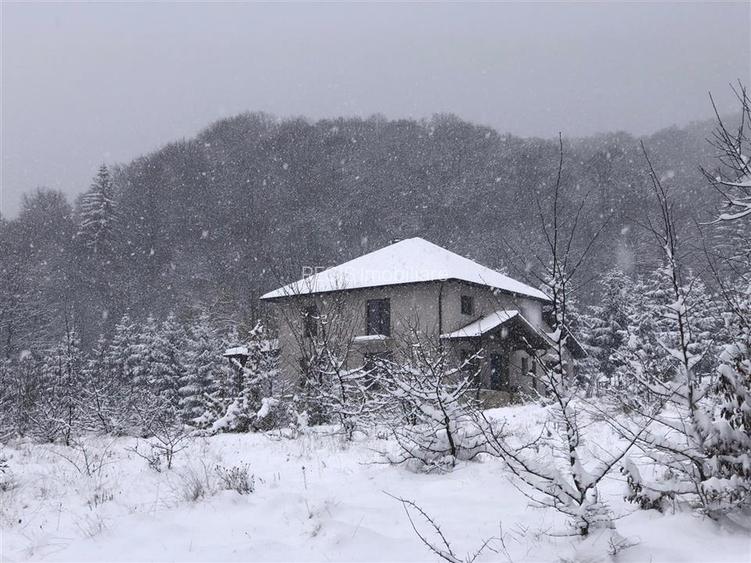 Casa moderna in mijlocul naturii cu lac, Cheisoara - 9