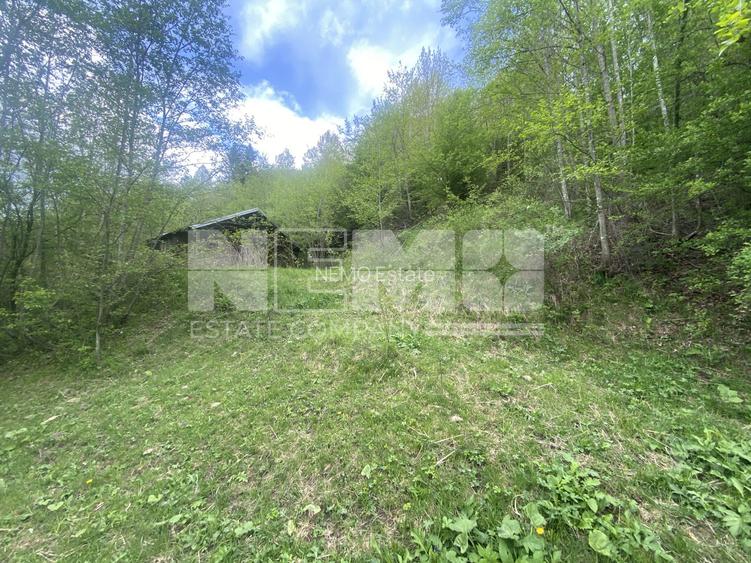 Teren Intravilan | Câmpulung Moldovenesc | 31ARI - 2