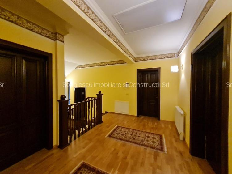 Poziție de top în Dumbravita - 23