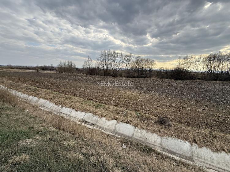Teren extravilan | Rădăuți | 36 ARI - 9