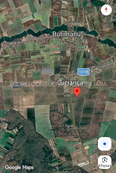 Vanzare 5000 mp teren  Butimanu-Lucianca (aproape de Bucuresti) plata în rate - 9