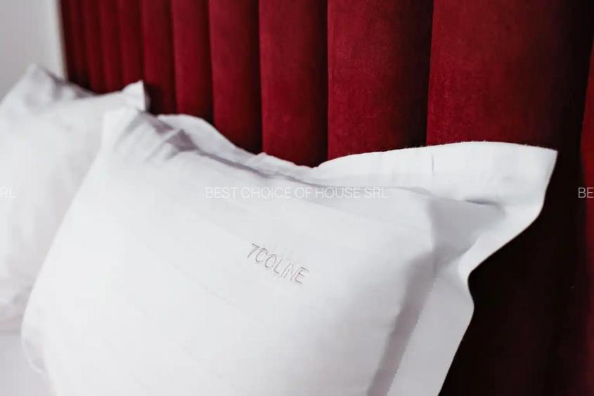 CABANA 2025 , VORONET ,6 CAMERE ,echipate  , 2000 lei / zi , MINIM  DOUA ZILE - 24