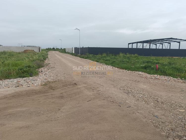 Teren de vanzare, Frumusani, Ilfov, ideal investitie, DNCB - 9