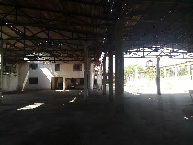 Patarlagele, fosta fabrica cherestea, 8506mp cc, Buzau , Valea Viei - 2