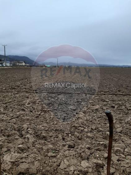 Teren intre case, 7.150mp Rasnov / Strada Glajeriei - 5