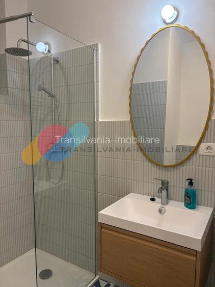 Apartament 2 Camere, 40mp, zona Horea, in vila, curte interioara - 5