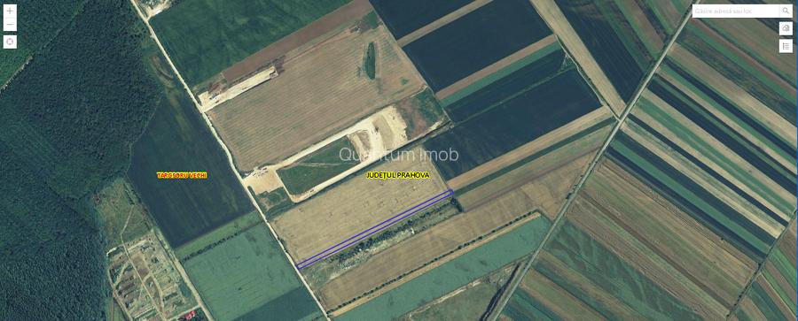 Vânzare teren extravilan arabil - Târgșoru Vechi, județ Prahova - 2