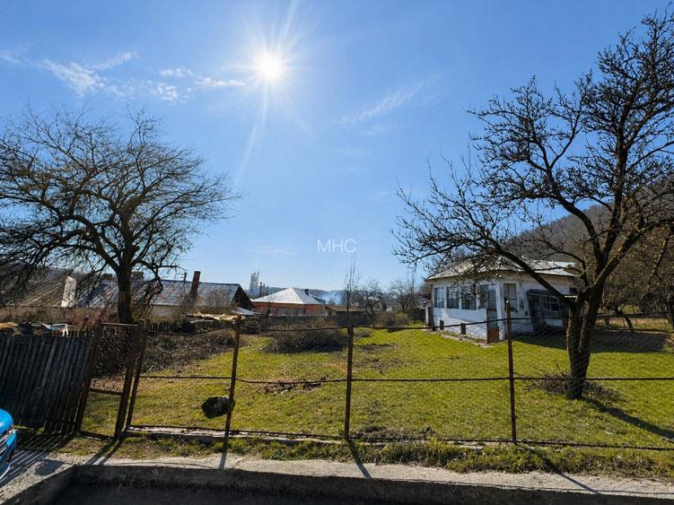 Teren 1.002 mp lângă Manastirea Namaesti - 10