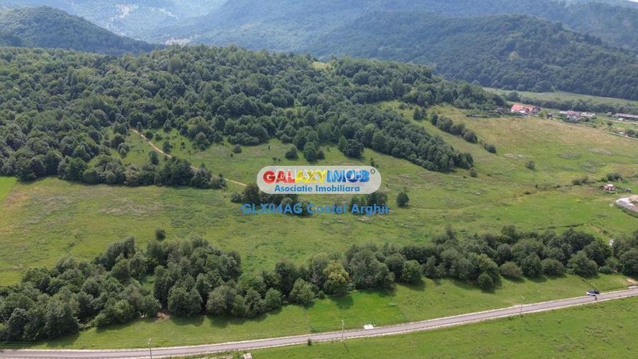 Vindem teren 20000 mp Cheile Rasnoavei - Brasov , pentru case vacanta - 7